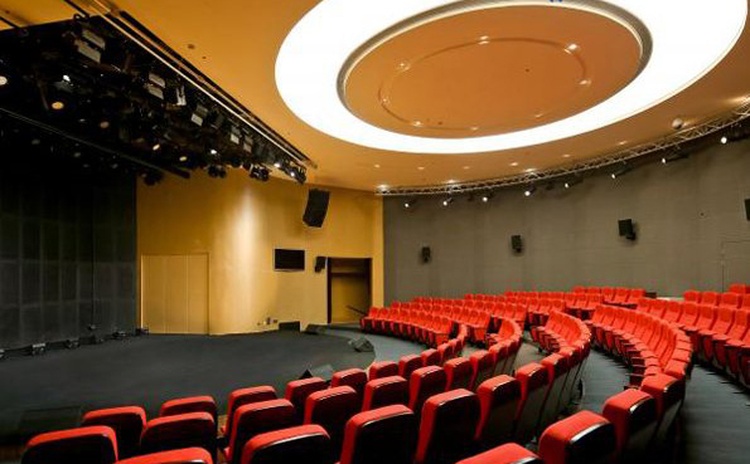 浙江麗水文化藝術(shù)中心木質(zhì)吸音板聲學工程